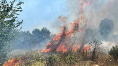 Bursa’nın İnegöl ilçesinde otluk alanda çıkan yangın söndürüldü.

