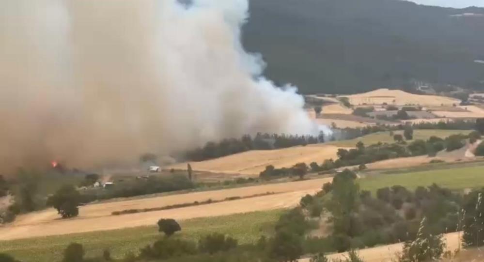 Bursa’nın Yenişehir ilçesine bağlı Kavaklı köyü kırsalında çıkan orman yangınına,