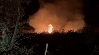 Bursa’nın İznik ilçesine bağlı Boyalıca mahallesinde sazlık yangını meydana geldi.