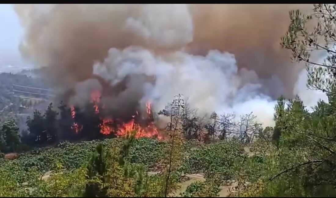 Bursa'nın merkez Osmangazi ilçesi Gündoğdu ilçesinde başlayan orman yangını büyüyor.
