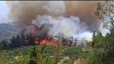 Bursa'nın merkez Osmangazi ilçesi Gündoğdu ilçesinde başlayan orman yangını büyüyor.
