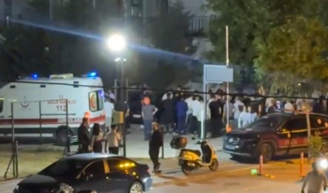 Bursa'nın Nilüfer ilçesinde iki kişi, tartıştıkları bir vatandaşı sokak ortasında
