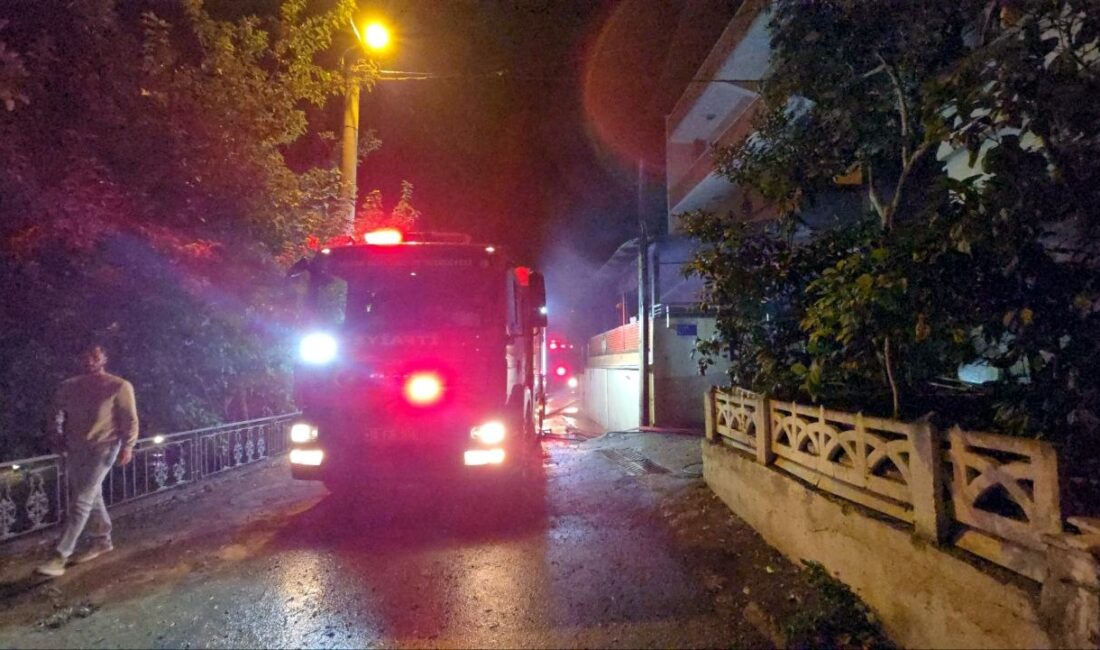 Bursa'nın Mudanya ilçesi Altıntaş Mahallesi'nde üç katlı kullanılmayan binada çıkan