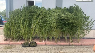 Bursa'nın İnegöl ilçesinde Jandarma komutanlığı ekipleri 2 eve eş zamanlı