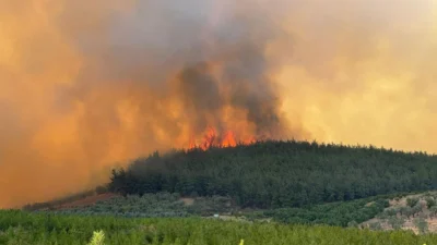 Bursa'da televizyon vericilerinin bulunduğu Gündoğdu köyündeki ormanlık alanda çıkan yangına
