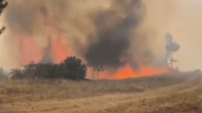 Bursa'nın dağ ilçesi Orhaneli Göynükbelen Mahallesindeki ormanlık alanda yangın itfaiye