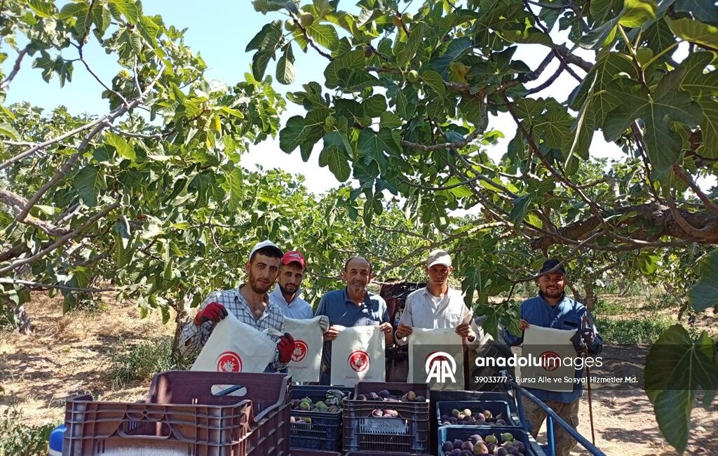 Bursa’da Aile Yılı etkinlikleri kapsamında düzenlenen programda, coğrafi işaretli siyah