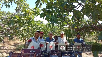 Bursa’da Aile Yılı etkinlikleri kapsamında düzenlenen programda, coğrafi işaretli siyah