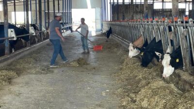 Bursa’daki süt üreticileri, büyük süt firmalarının "yem almazsan sütünü almam"