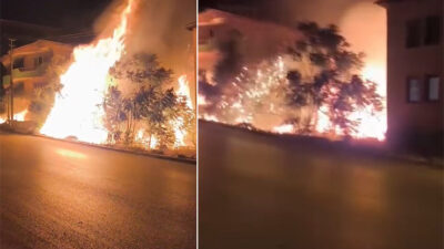 Bursa'nın Gemlik ilçesinde villaların arasında bulunan ağaçlık alandaki alevler, vatandaşlara