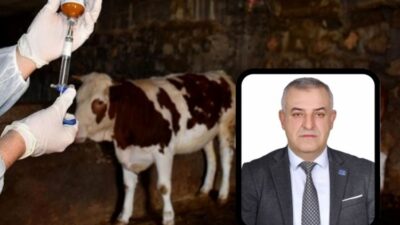 Bursa'nın Mustafakemalpaşa ilçesinde etkisini giderek artıran şap hastalığı, hayvancılıkla geçinen
