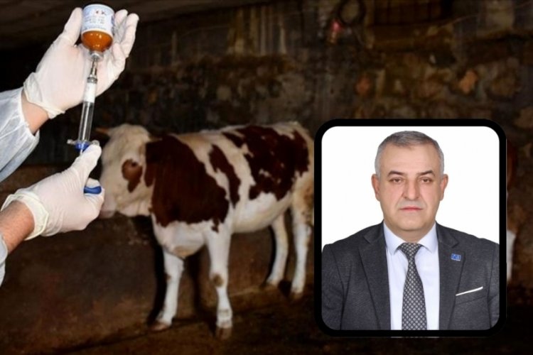 Bursa'nın Mustafakemalpaşa ilçesinde etkisini giderek artıran şap hastalığı, hayvancılıkla geçinen