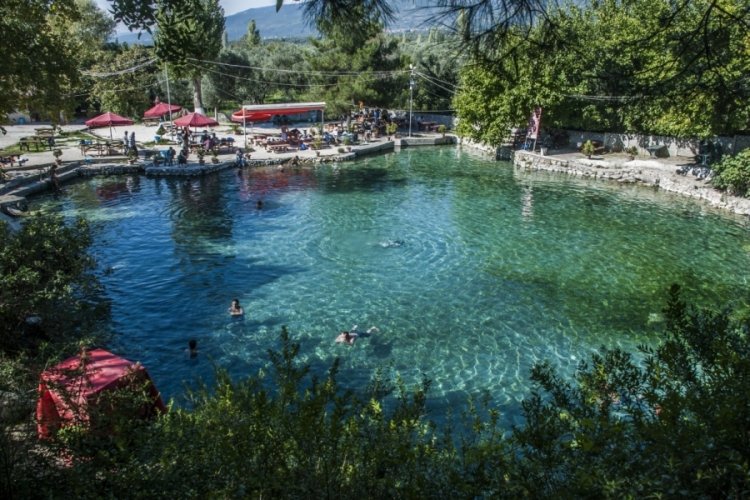 Bursam Medya -