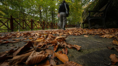 Bursa’nın Mustafakemalpaşa ilçesinde fay hattının kırılmasıyla oluşan Suuçtu Şelalesi’nin çevresi