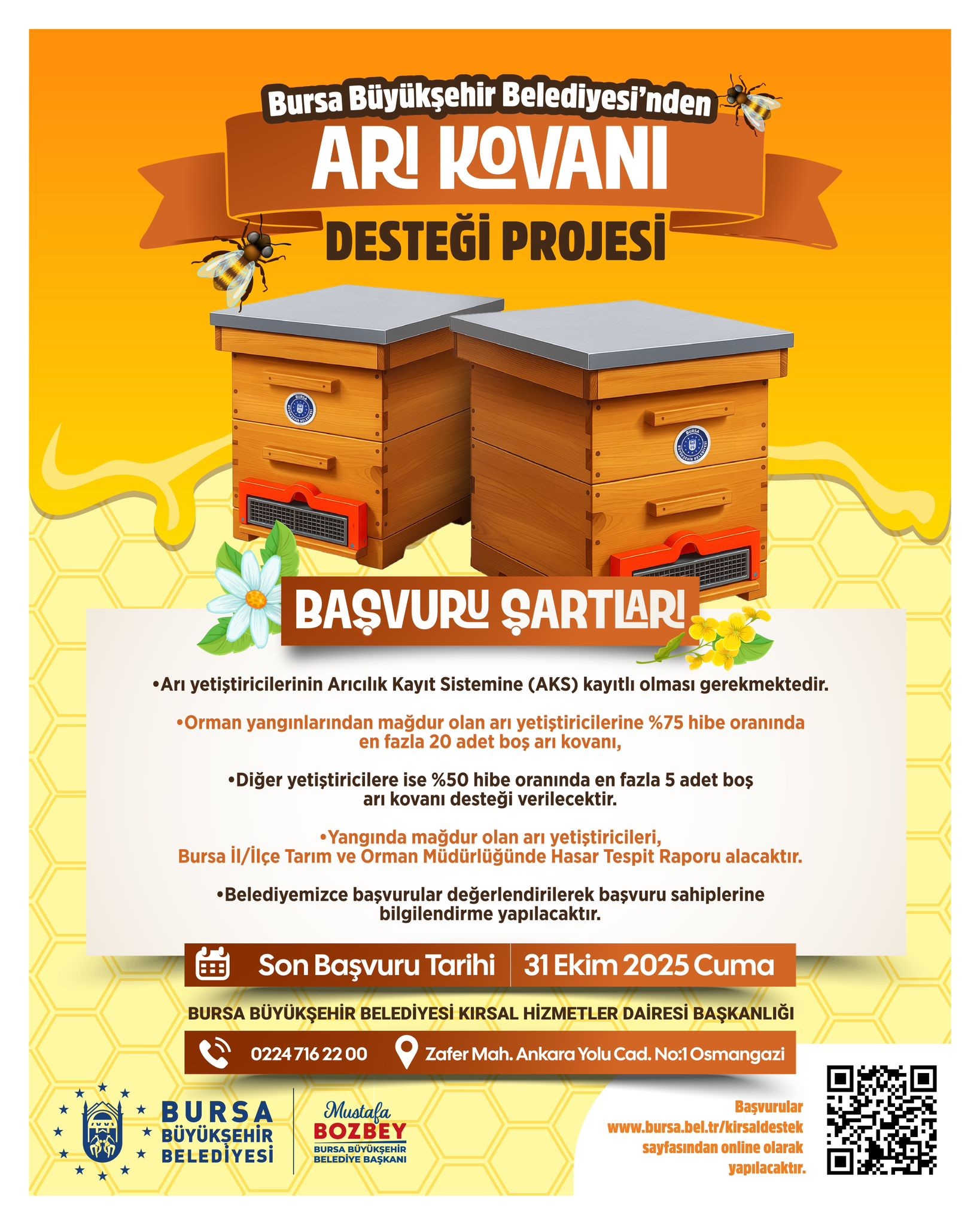 Bursam Medya -