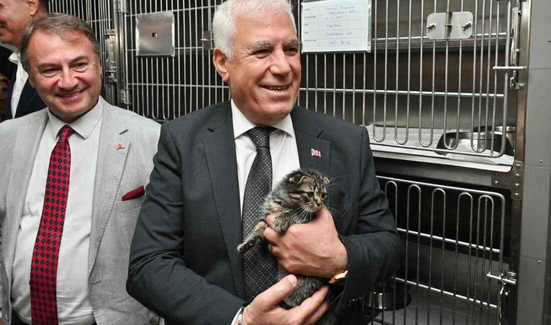 Sokaklarda yaşam mücadelesi veren can dostlar, Bursa Büyükşehir Belediyesi'nin şefkat