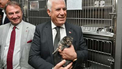 Sokaklarda yaşam mücadelesi veren can dostlar, Bursa Büyükşehir Belediyesi'nin şefkat