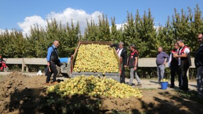 Bursa İl Tarım ve Orman Müdürlüğü’nün hasat öncesi yaptığı pestisit