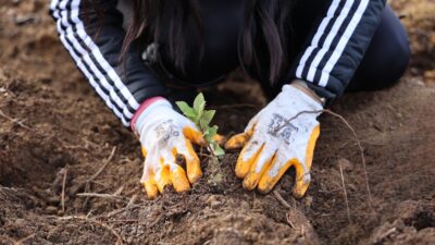 Uludağ Elektrik, elektronik fatura uygulamasıyla kağıt tüketimini azaltarak hem müşteri