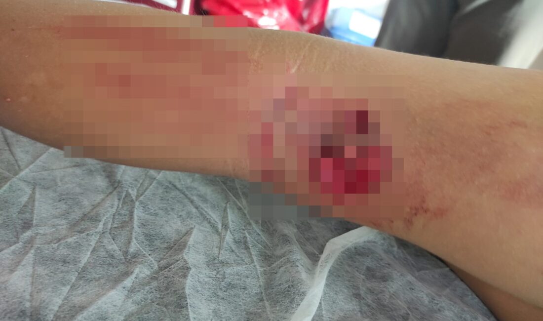 Bursa'nın Orhangazi ilçesine bağlı Yeni Sölöz Mahallesi'nde sabah saatlerinde okula