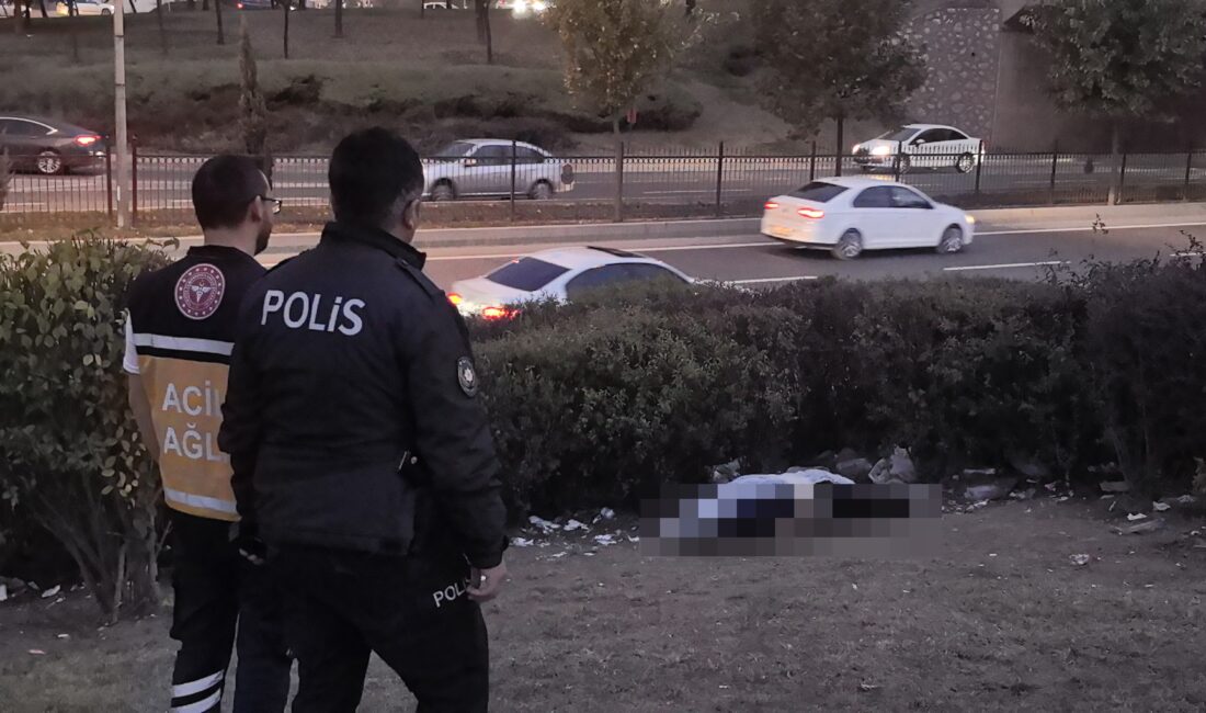 İnegöl ile Alanyurt'u birbirine bağlayan köprülü kavşaktaki yeşil alanda erkek