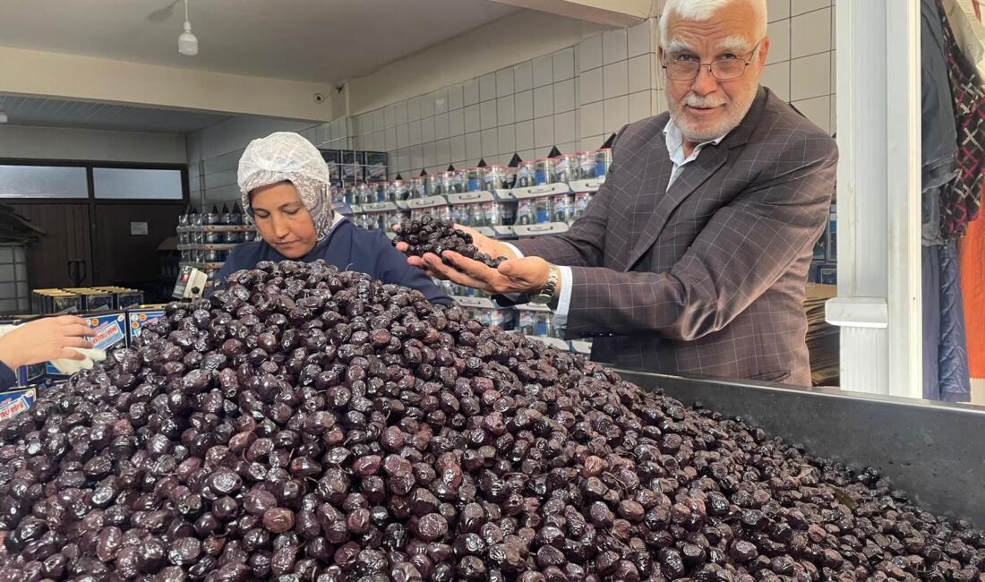 Bursa'nın Gemlik ilçesinde faaliyet gösteren Katırlı Köyü Tarımsal Kalkınma Kooperatifi,