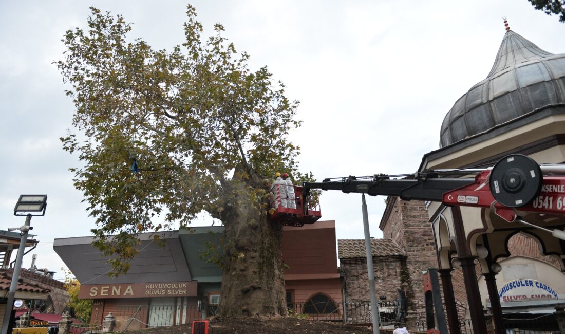 Bursa Ulu Cami’nin avlusunda yer alan ve henüz bilinmeyen bir