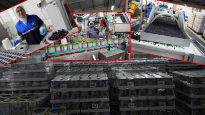 Marmarabirlik Yönetim Kurulu Başkanı Ali Yıldız ve ekibi düzenlenen ''Marmarabirlik