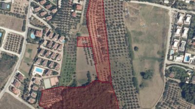 Bursa Mudanya Belediyesi, zeytinlik ve orman arazilerinin yanı başında yer