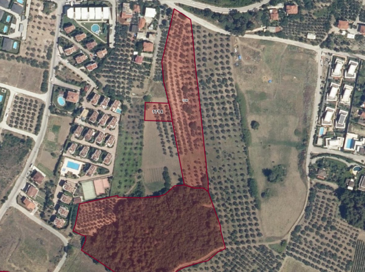 Bursa Mudanya Belediyesi, zeytinlik ve orman arazilerinin yanı başında yer