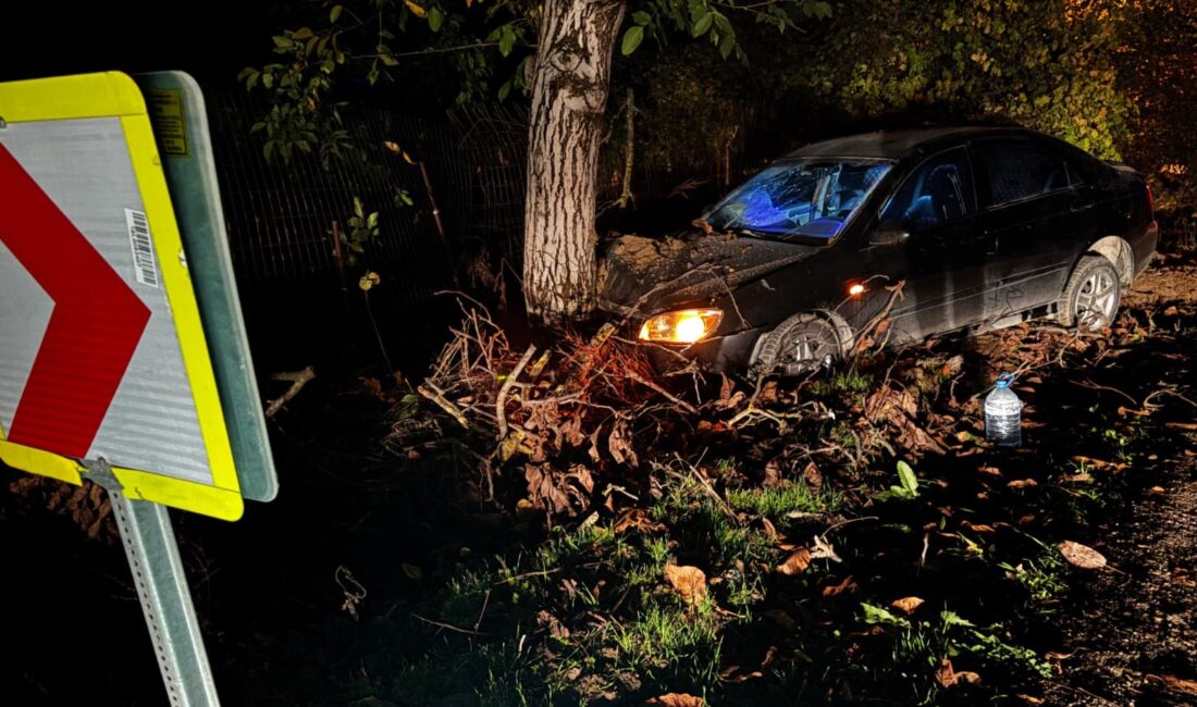 Bursa’nın İnegöl ilçesinde sürücüsünün kontrolünden çıkan otomobil yol kenarındaki ağaca