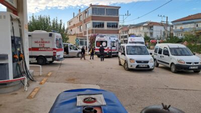 Bursa’nın İznik ilçesine bağlı Boyalıca Mahallesi’nde zeytin hasadı yapan 8