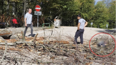 Mustafakemalpaşa’da geçtiğimiz hafta Suuçtu Şelalesi Mesire Alanı’nda üzerine ağaç devrilmesi
