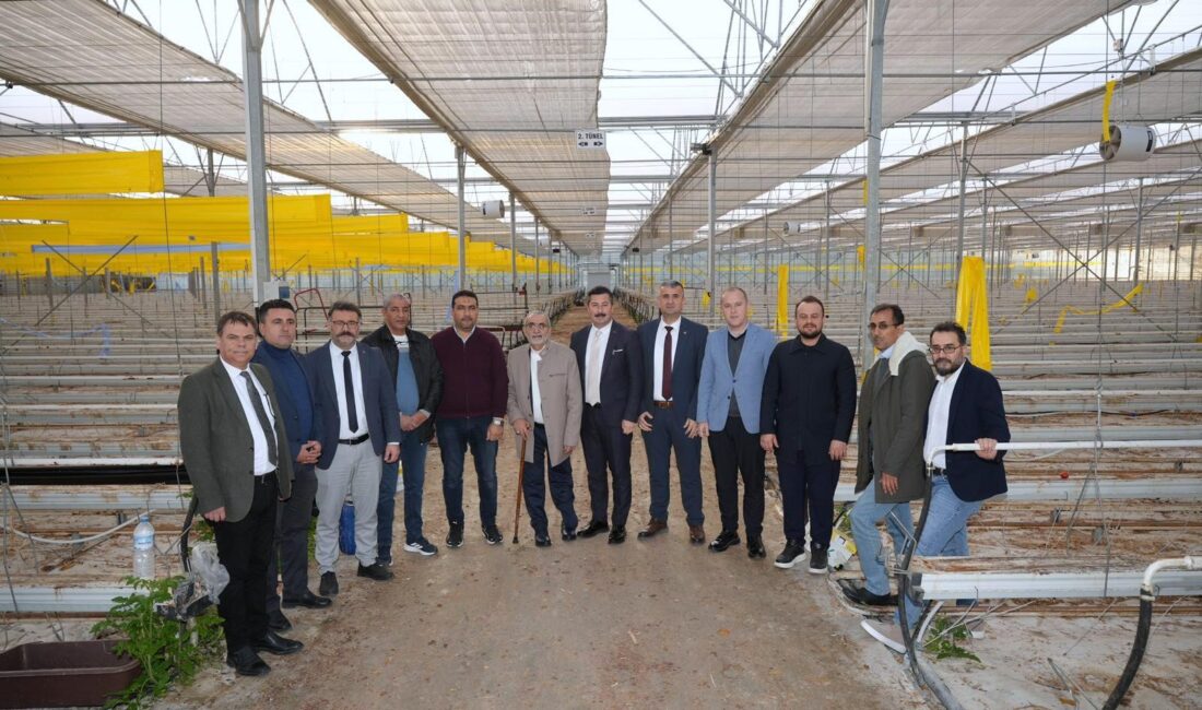 Bursa'nın Yenişehir ilçesinde 2026 yılında yetişecekn ürünler artık Libya pazarında