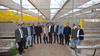 Bursa'nın Yenişehir ilçesinde 2026 yılında yetişecekn ürünler artık Libya pazarında