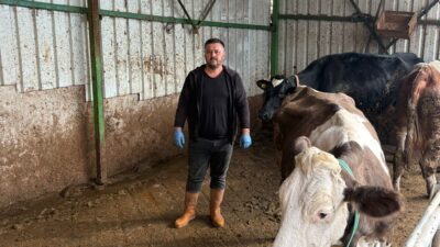 Bursa'nın Yenişehir ilçesinde hayvancılıkla uğraşan ve şap nedeniyle 1,5 milyon lira kaybı