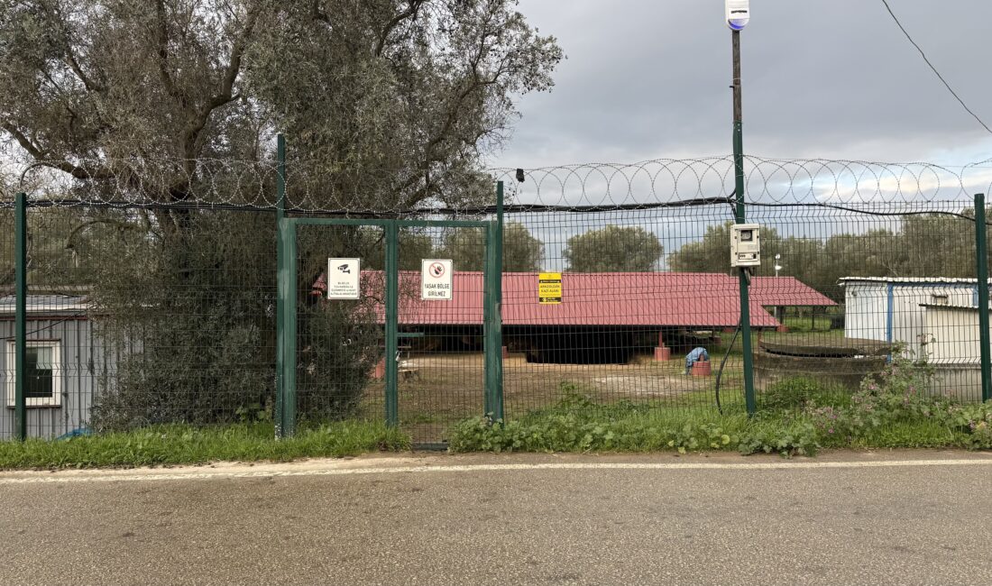 Bursa'da Papa 14. Leo'nun ziyaret ettiği dünyaca ünlü tarihi kent