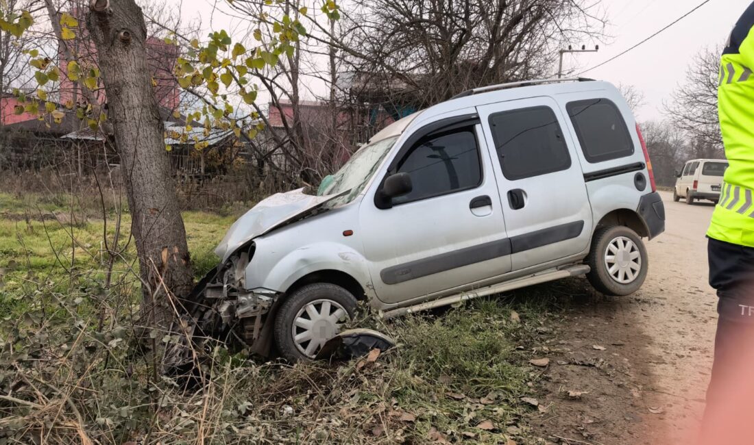Bursa'nın İnegöl ilçesinde kontrolden çıkan hafif ticari aracın ağaca çarptığı