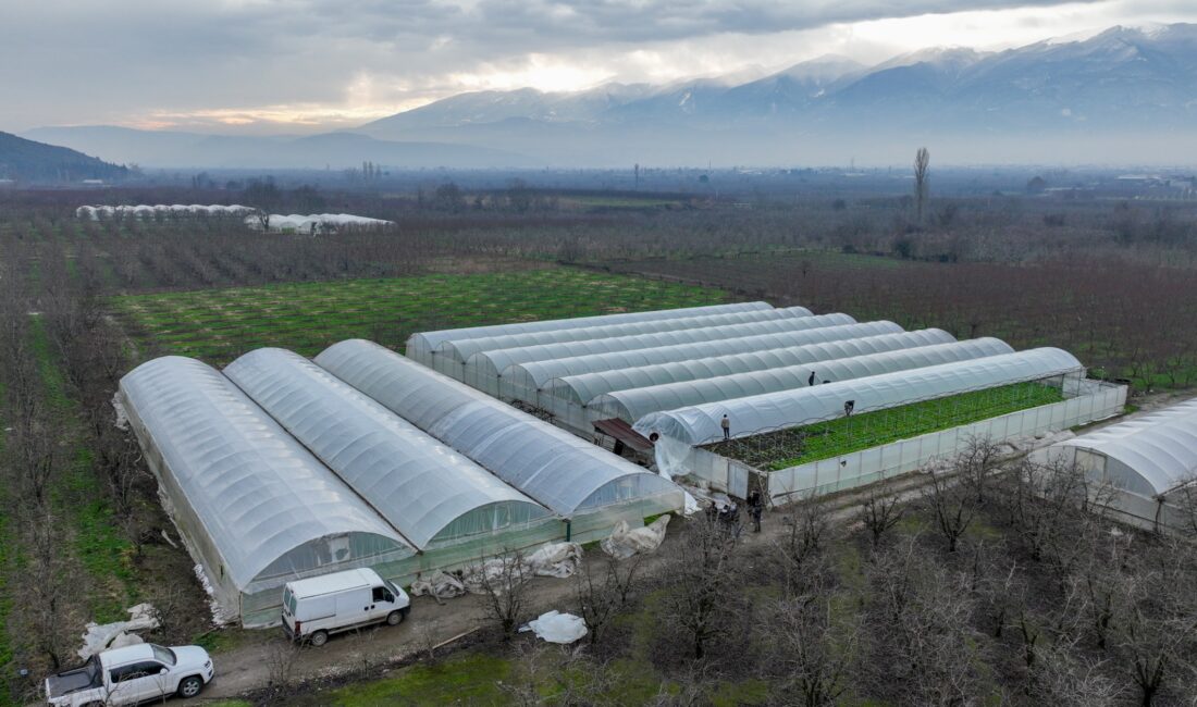 Bursa Büyükşehir Belediyesi, afetlerden olumsuz etkilenen çiftçilere yönelik desteklerini sürdürüyor.