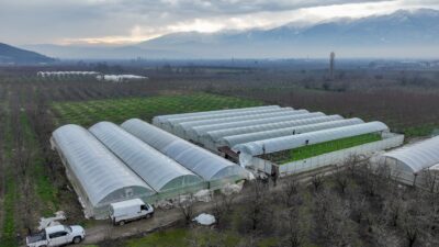 Bursa Büyükşehir Belediyesi, afetlerden olumsuz etkilenen çiftçilere yönelik desteklerini sürdürüyor.