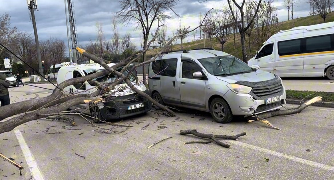 Bursa'da etkili lodos, refüjdeki ağaçları devirdi. Devrilen ağaçlar seyir halindeki