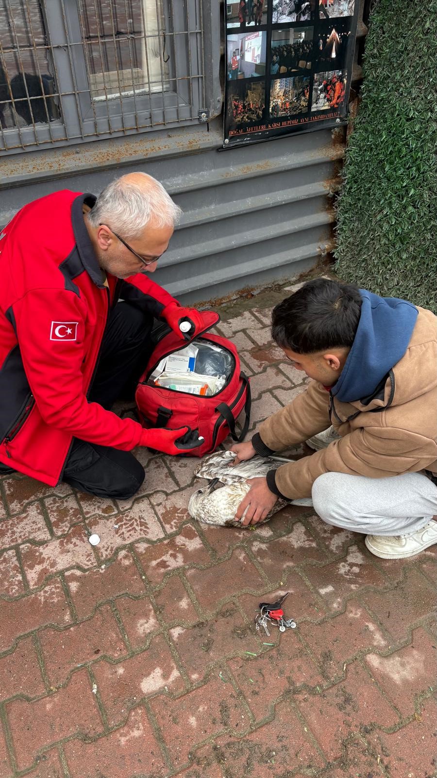 Bursa'nın Mudanya ilçesinde denizde balık tutan amatör bir balıkçının oltasına