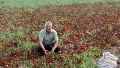 Karacabey Ziraat Odası İkinci Başkanı Ramazan Düzen, çiftçiler için devam