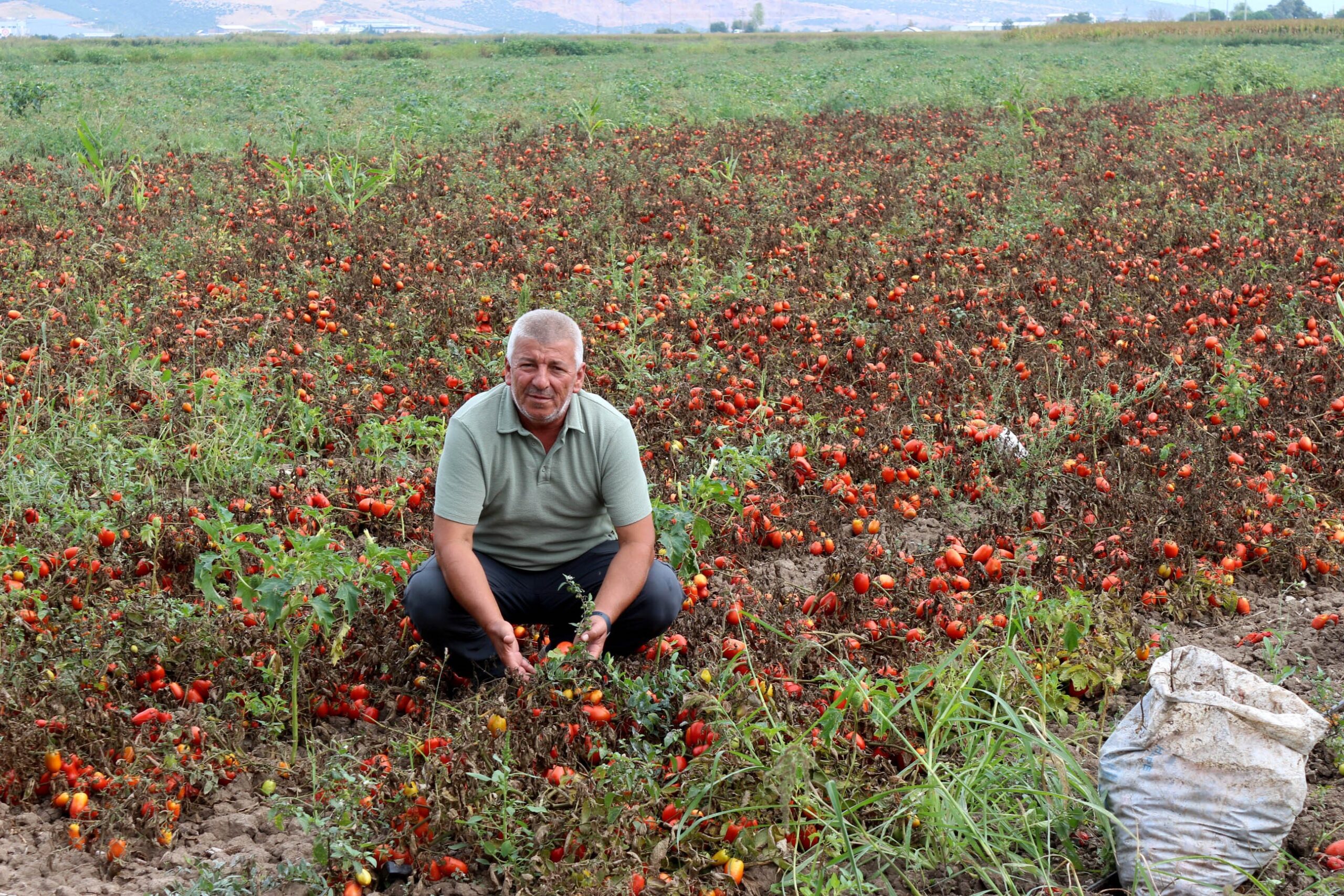 Karacabey Ziraat Odası İkinci Başkanı Ramazan Düzen, çiftçiler için devam