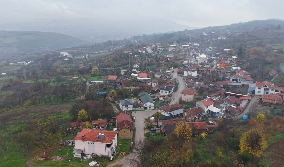 Bursa Büyükşehir Belediye Başkanı Mustafa Bozbey, sosyal konut ve köy