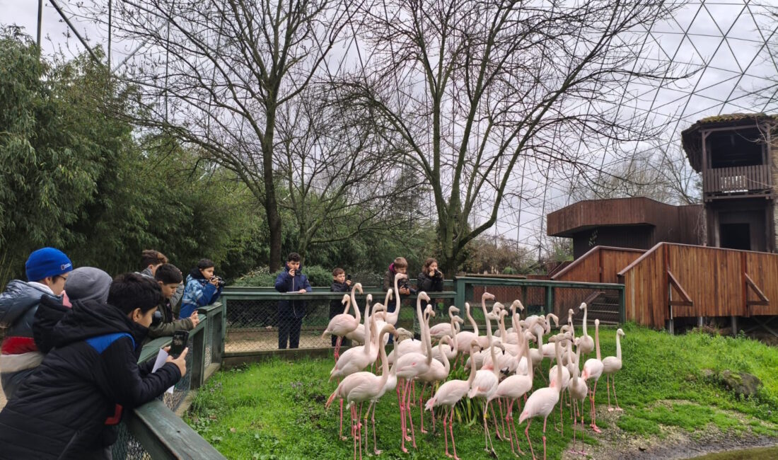 Bursa Büyükşehir Belediyesi tarafından düzenlenen ‘Bilim Fotoğrafçılığı’ atölyesine katılan çocuklar,