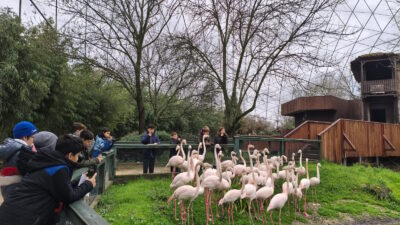 Bursa Büyükşehir Belediyesi tarafından düzenlenen ‘Bilim Fotoğrafçılığı’ atölyesine katılan çocuklar,