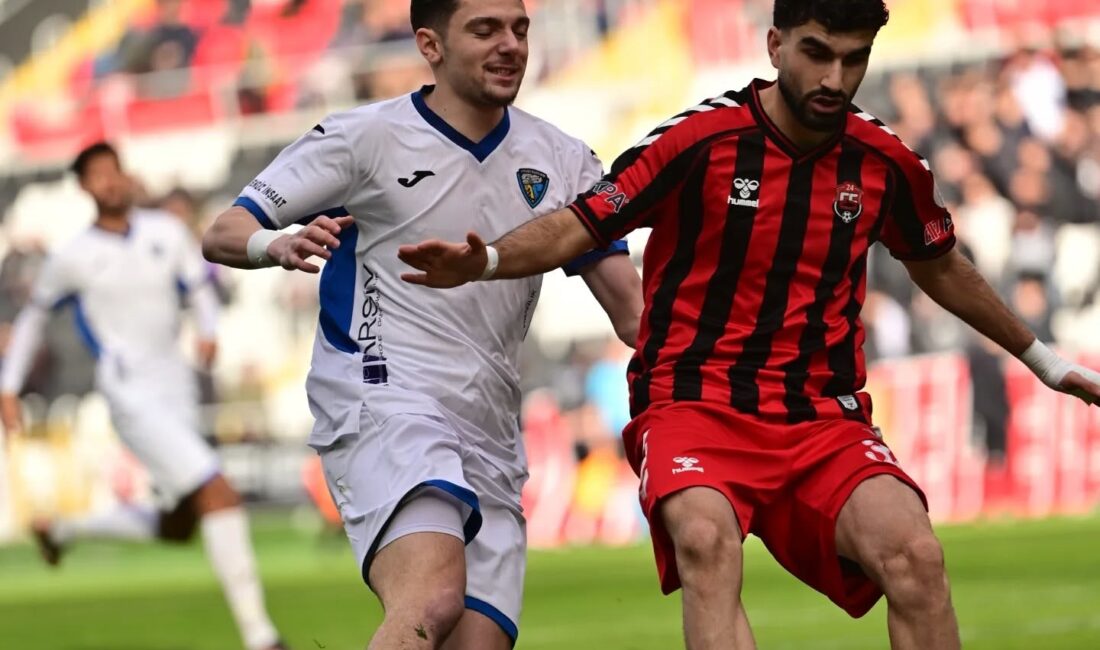 TFF 2. Lig Beyaz Grup'ta oynanan 24 Erzincanspor-Karacabey Belediyespor maçıyla