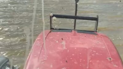 Bursa'da etkili olan sağanak yağmur, tarım arazilerini vurdu. Hasadı bekleyen