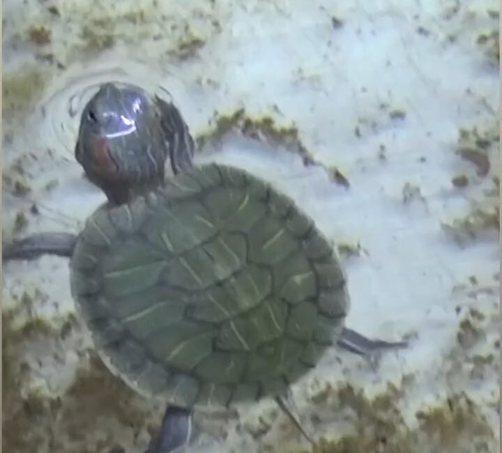 Doğa Koruma Milli Parklar 2. Bölge Müdürlüğü ve Bursa İl Emniyet Müdürlüğü